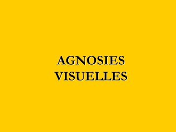 AGNOSIES VISUELLES - ampra