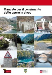 Manuale per il censimento delle opere in alveo - CSI-Piemonte