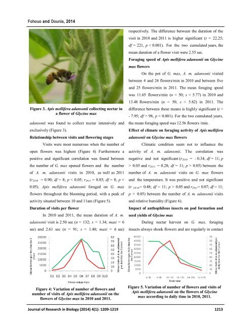 Foraging and pollination behavior of Apis mellifera adansonii Latreille (Hymenoptera: Apidae) on Glycine max L. (Fabaceae) flowers at Maroua