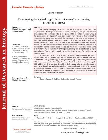 Determining the Natural Gypsophila L. (Coven) Taxa Growing in Tunceli (Turkey)