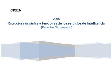 Asia Estructura orgÃ¡nica y funcione - Cisen