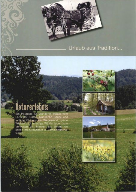 Download als PDF - Mittlere-Bayerischer-Wald.de