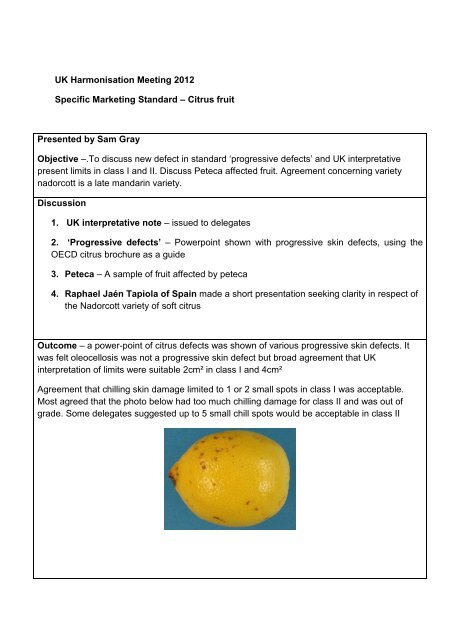 Citrus fruit report.pdf