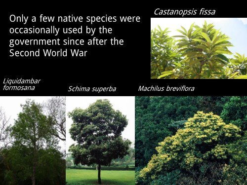 Using Native Plant Species in Forest Restoration ... - Rainforestation