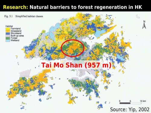 Using Native Plant Species in Forest Restoration ... - Rainforestation