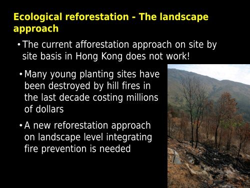 Using Native Plant Species in Forest Restoration ... - Rainforestation