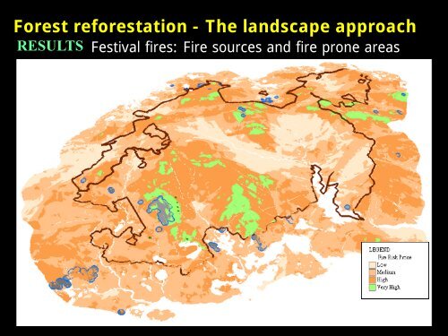 Using Native Plant Species in Forest Restoration ... - Rainforestation