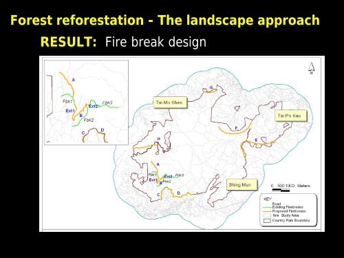 Using Native Plant Species in Forest Restoration ... - Rainforestation