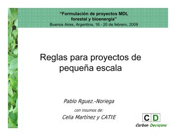 Reglas para proyectos de pequeÃ±a escala