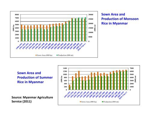 Focus on rice production in Myanmar