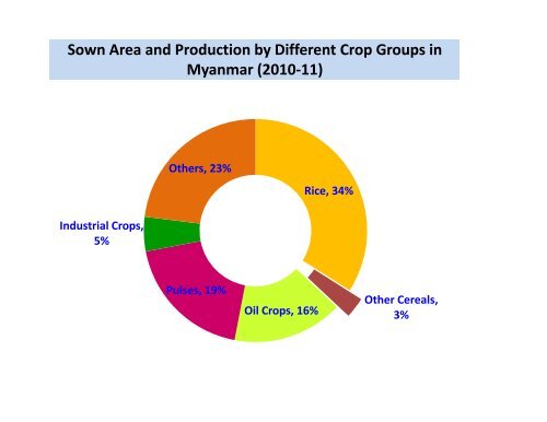 Focus on rice production in Myanmar