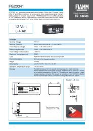 FG20341 12 Volt 3.4 Ah FG series