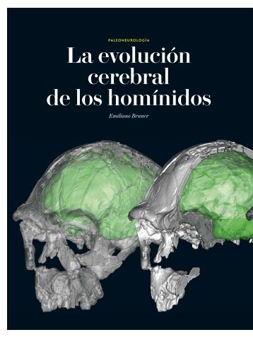 Descargar artículo completo - Investigación y Ciencia