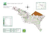 PROYECTO FORESTAL SANTA ELENA PROVINCIA ALAJUELA ...