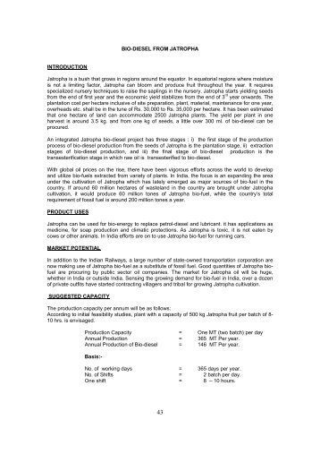 BIO-DIESEL FROM JATROPHA INTRODUCTION Jatropha ... - smallB