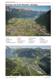 01_Urnersee_PreviewQuality.pdf - Luftbilder der Schweiz