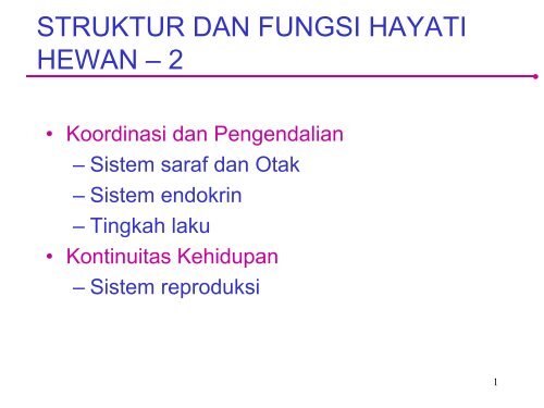 7400 Gambar Gambar Hewan Pdf HD Terbaik