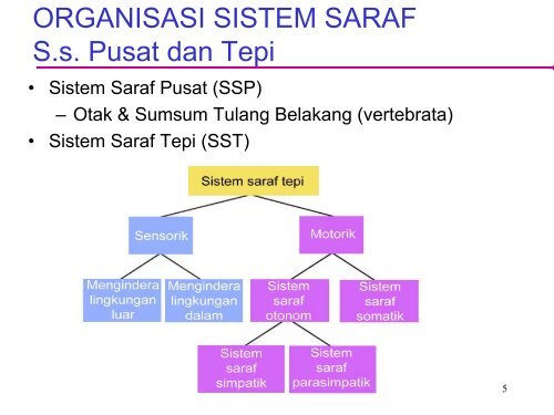  Jurnal  Struktur Dan  Fungsi Sel  Pdf  Berbagai Struktur