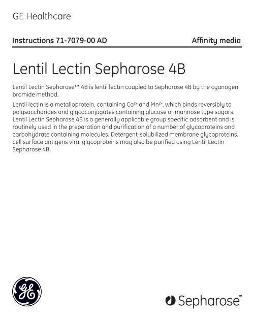 Lentil Lectin Sepharose 4B GE Healthcare Life Sciences