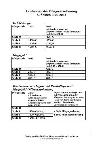 Leistungen der Pflegeversicherung auf einen Blick 2013