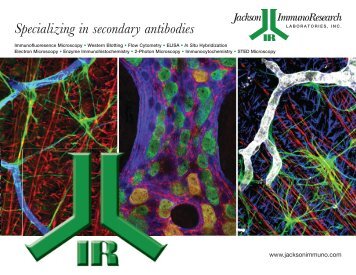 Specializing in secondary antibodies