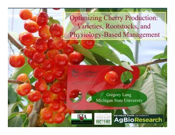 Optimizing Cherry Production - Michigan State University