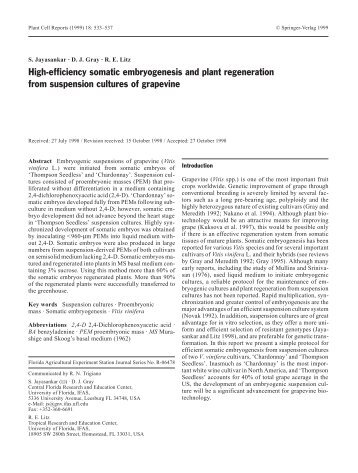 High-efficiency somatic embryogenesis and plant regeneration from ...