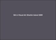 BA in Visual Art Sherkin Island 2009 - Update - Dublin Institute of ...