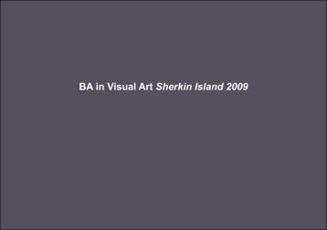 BA in Visual Art Sherkin Island 2009 - Update - Dublin Institute of ...