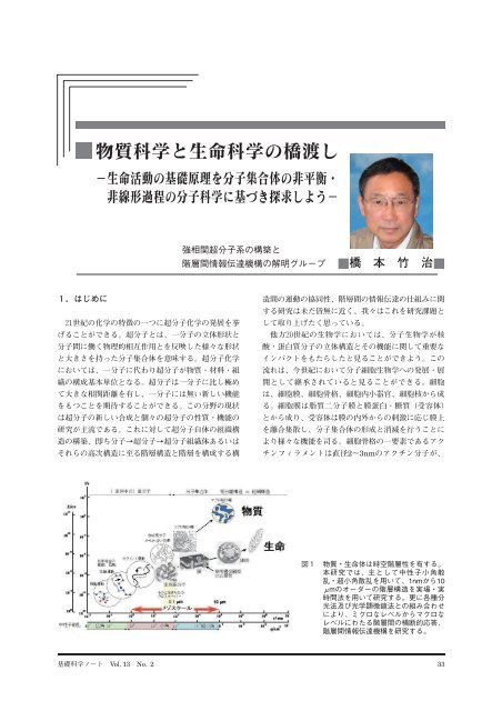 橋本竹治 - 先端基礎研究センター - 日本原子力研究開発機構