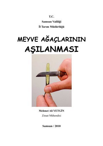 Meyve AÄaÃ§larÄ±nÄ±n AÅÄ±lanmasÄ± - Samsun TarÄ±m Ä°l MÃ¼dÃ¼rlÃ¼ÄÃ¼