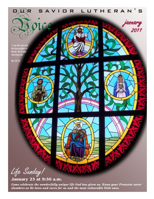 Life Sunday! - Our Savior Lutheran Church