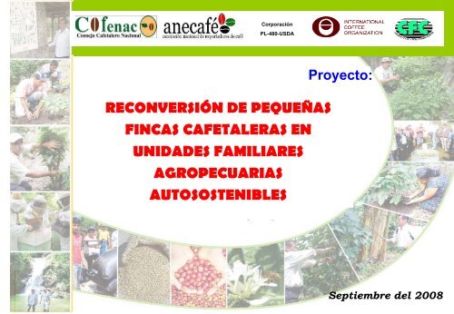 descargar pdf - Consejo Cafetalero Nacional, Cofenac