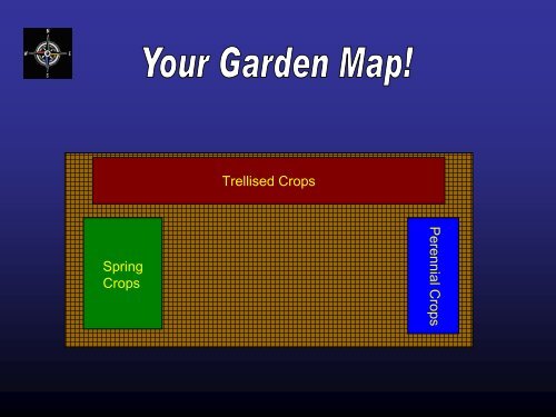 Establish planting using transplants