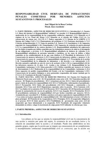 responsabilidad civil derivada de infracciones penales cometidas ...