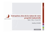 Entreprises, tirez de la valeur de votre propriÃƒÂ©tÃƒÂ© ... - Opticsvalley