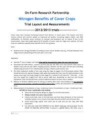 Nitrogen Benefits of Cover Crops - Cornell University Nutrient ...