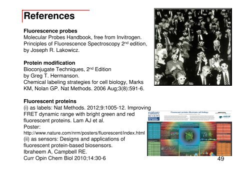 Fluorescent Dyes and Proteins - Department of Biochemistry