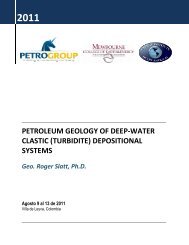 petroleum geology of deep-water clastic (turbidite) - PETROGROUP ...