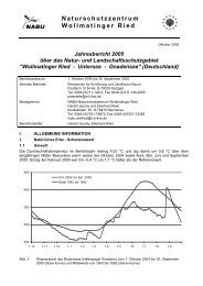 Jahresbericht Wollmatinger Ried 05 - NABU-Naturschutzzentrum ...