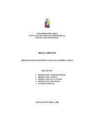 Reglamento Magister - Universidad de Chile
