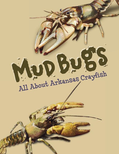 All About Arkansas Crayfish - Arkansas Game and Fish Commission