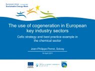 Jean-Philippe Perrot, Solvay - COGEN Europe