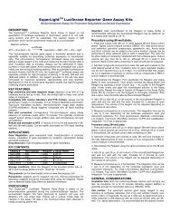 SuperLightTM Luciferase Reporter Gene Assay Kits - Bioxys