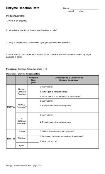 Enzyme Reaction Rate - Mrs. R. Wingerden