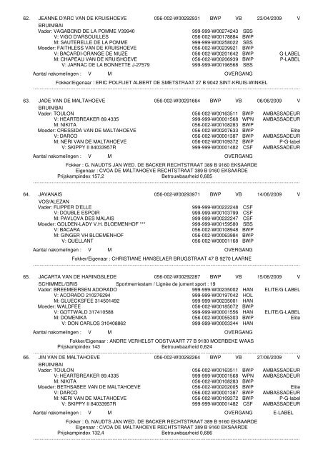 Programmaboekje Moerbeke - BWP