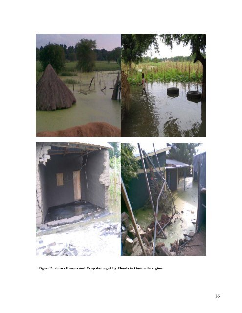 Floods and Health in Gambella region, Ethiopia: An ... - lumes