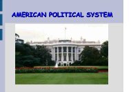 AMERICAN POLITICAL SYSTEM