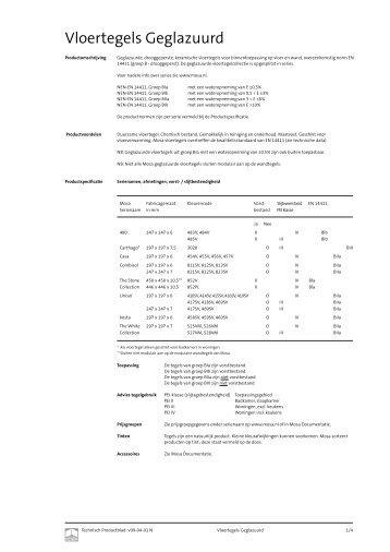 Vloertegels Geglazuurd - Mosa