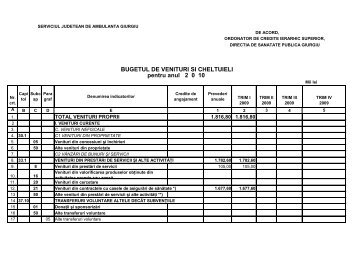 Buget de venituri si cheltuieli 2010 - SJA Giurgiu